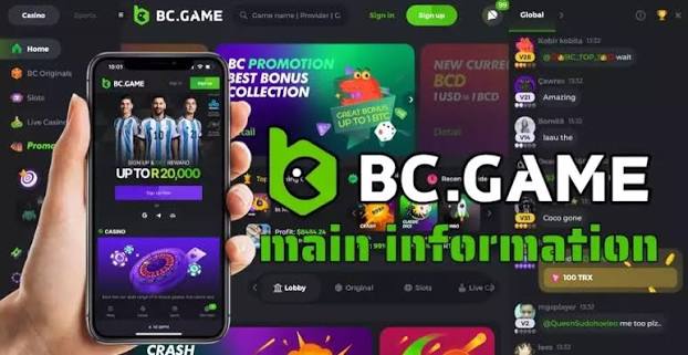 Understanding the BC.Game Login Process A Step-by-Step Guide -230031322